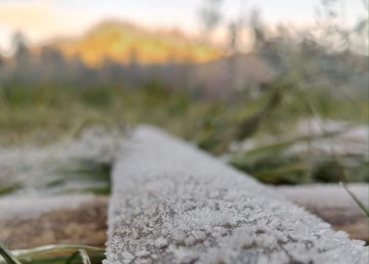 Embun Upas Ranupani Lumajang Mulai Muncul Juli&nbsp;2024