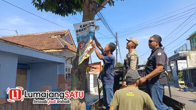 Tim Pacarku Cabut Banyak Paku Menancap di Pohon Kakija&nbsp;Lumajang