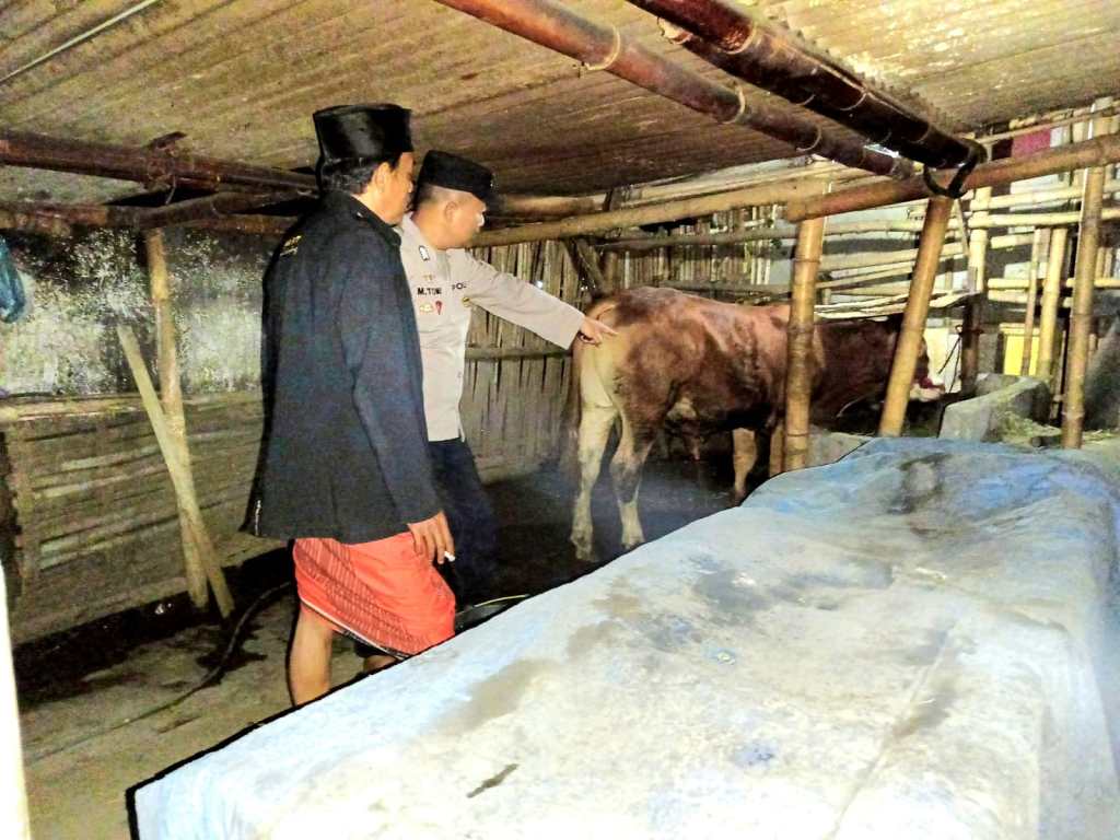 Polsek Sukodono Lumajang Intensifkan Patroli, Cegah Maling&nbsp;Sapi
